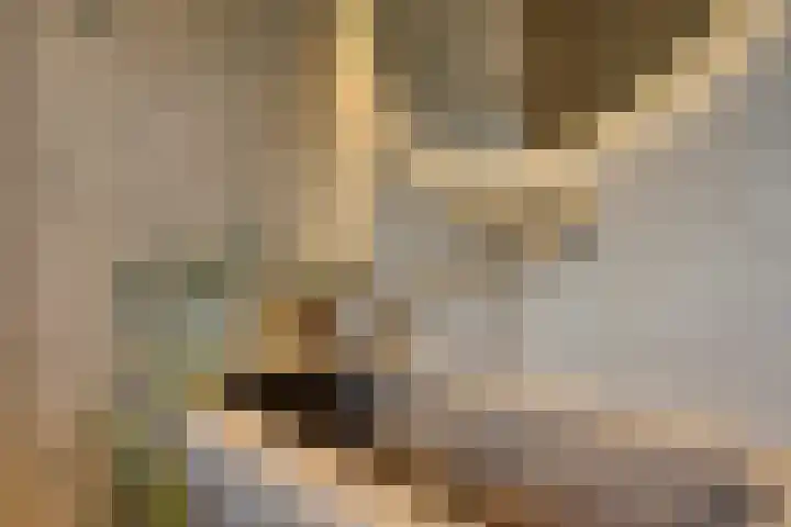 Julianastraat 9 Valburg thumbnail 51