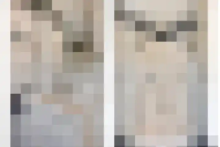 Julianastraat 9 Valburg thumbnail 67