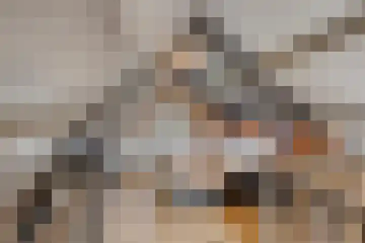 Julianastraat 9 Valburg thumbnail 68
