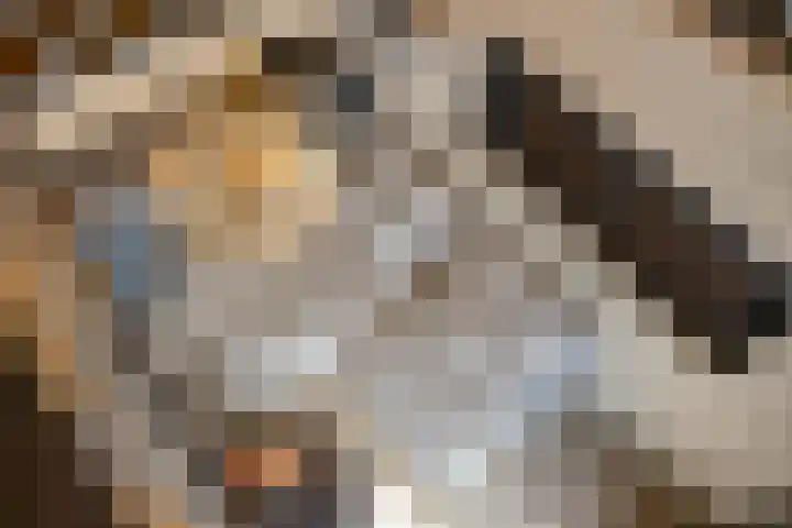 Julianastraat 9 Valburg thumbnail 69