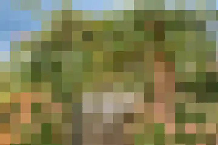 Julianastraat 9 Valburg thumbnail 80