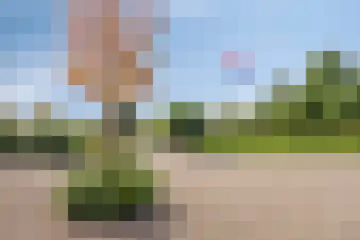 Julianastraat 9 Valburg thumbnail 88