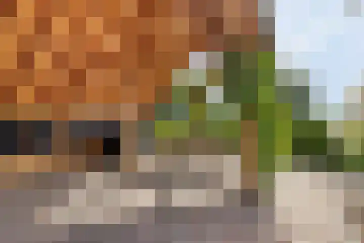 Julianastraat 9 Valburg thumbnail 90