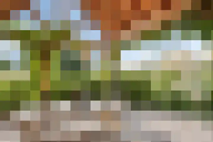 Julianastraat 9 Valburg thumbnail 92