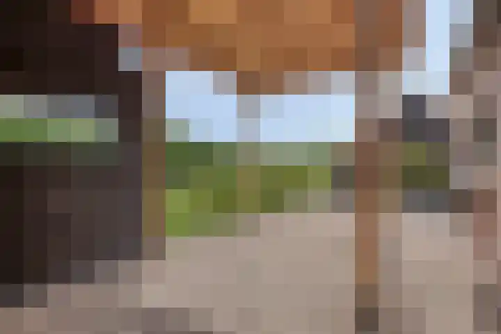 Julianastraat 9 Valburg thumbnail 97