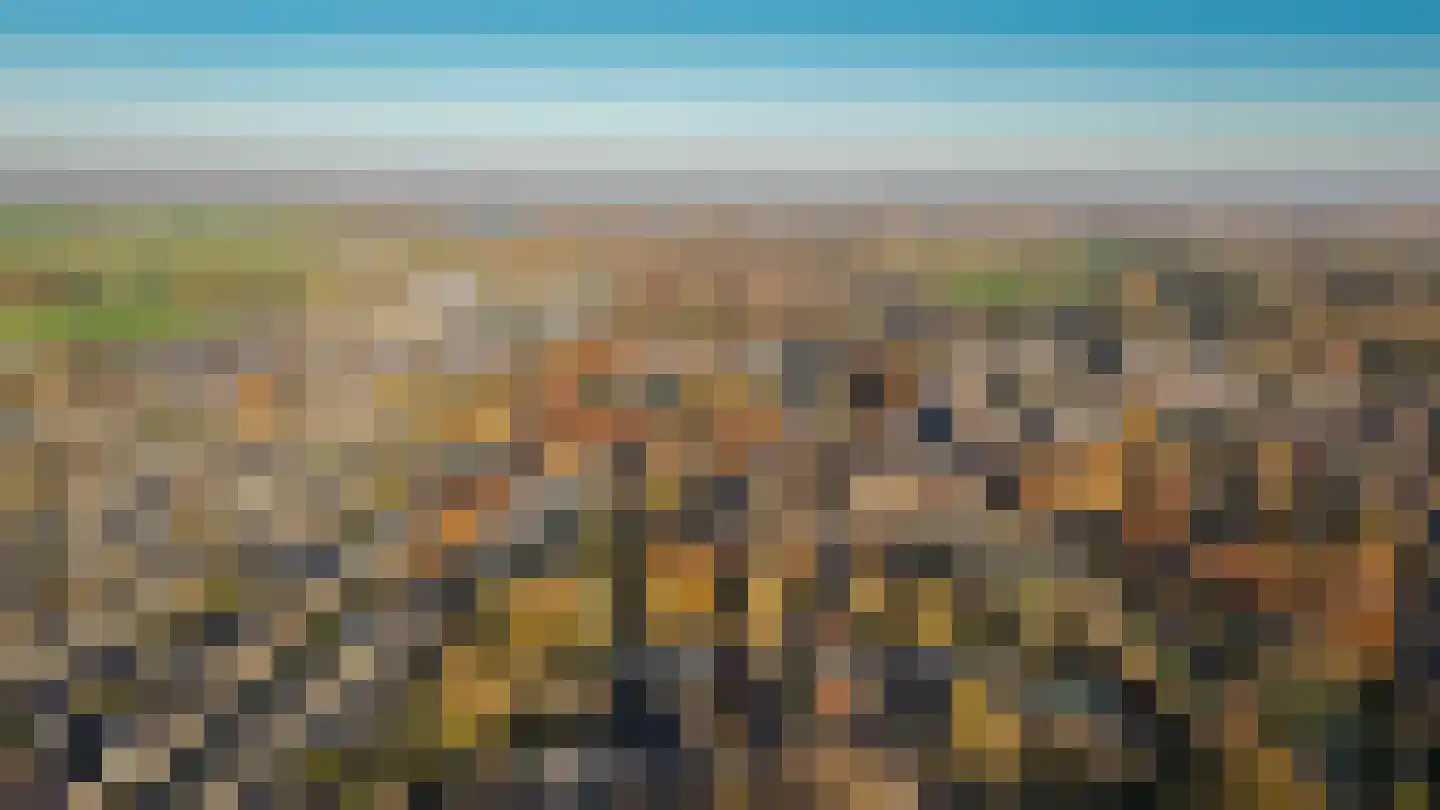 Julianastraat 9 Vlijmen thumbnail 100