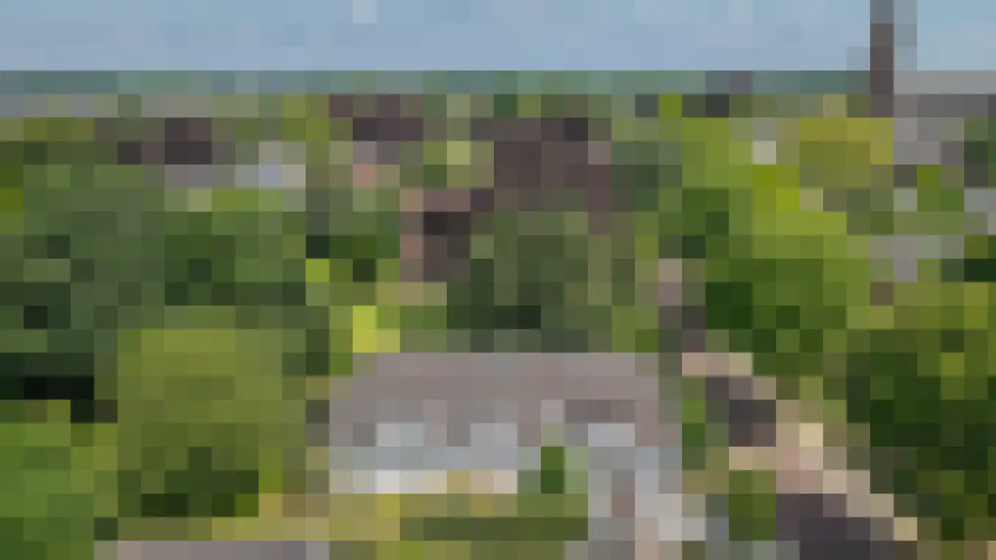 Julianastraat 9 Vlijmen thumbnail 107