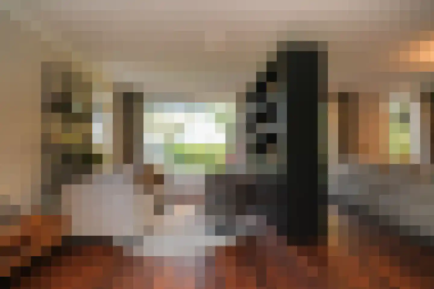 Julianastraat 9 Vlijmen thumbnail 17