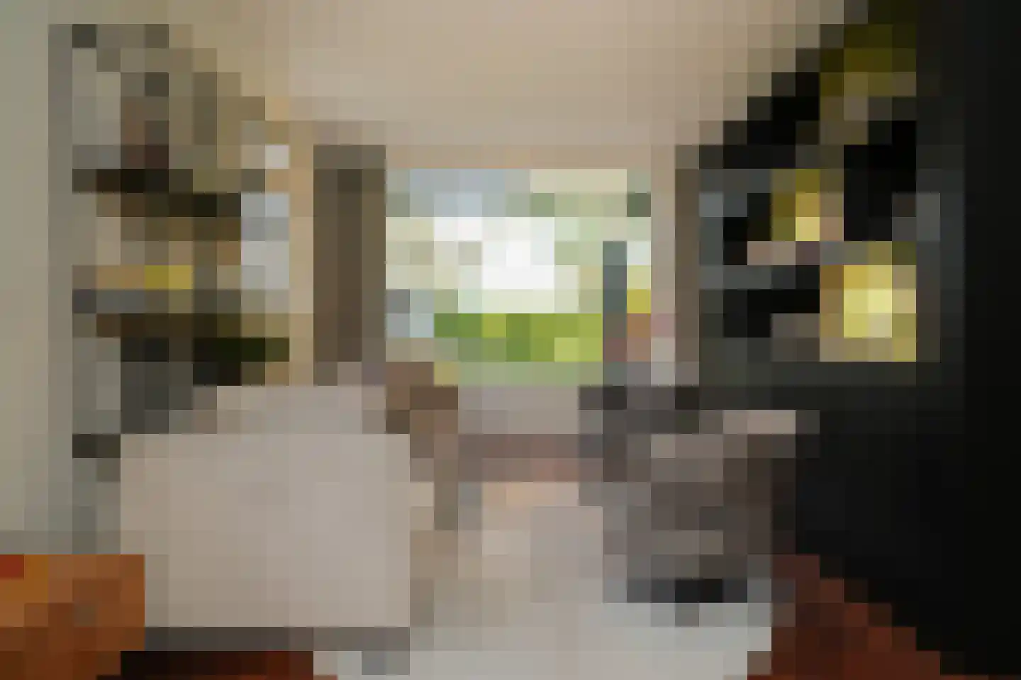 Julianastraat 9 Vlijmen thumbnail 18