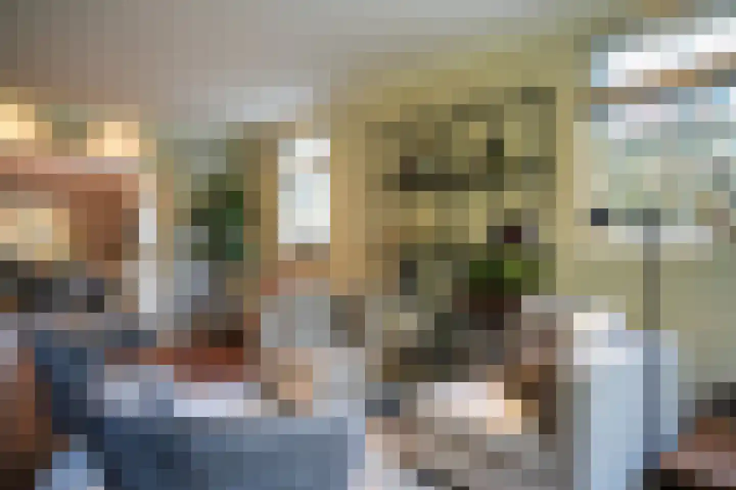 Julianastraat 9 Vlijmen thumbnail 19