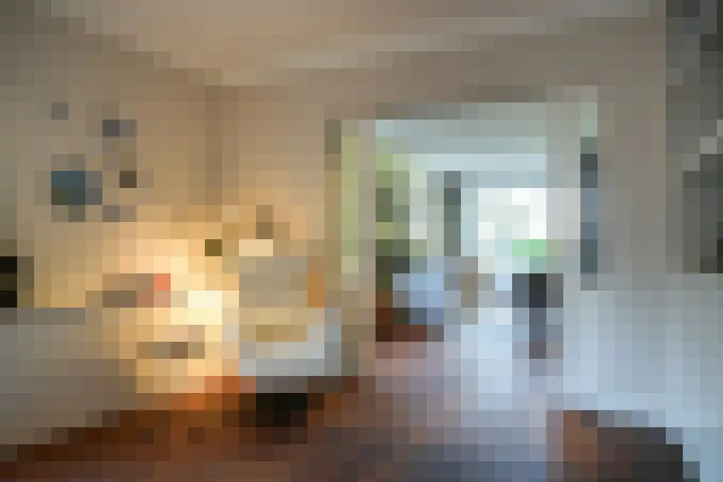 Julianastraat 9 Vlijmen thumbnail 23