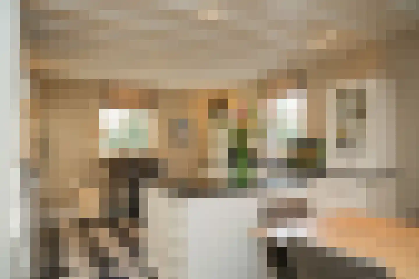 Julianastraat 9 Vlijmen thumbnail 28