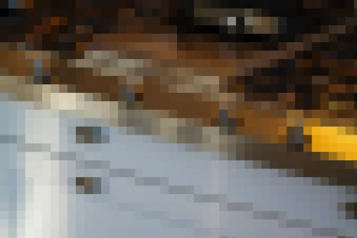 Julianastraat 9 Vlijmen thumbnail 33