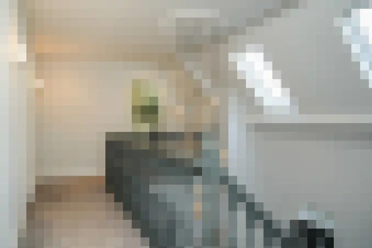Julianastraat 9 Vlijmen thumbnail 42