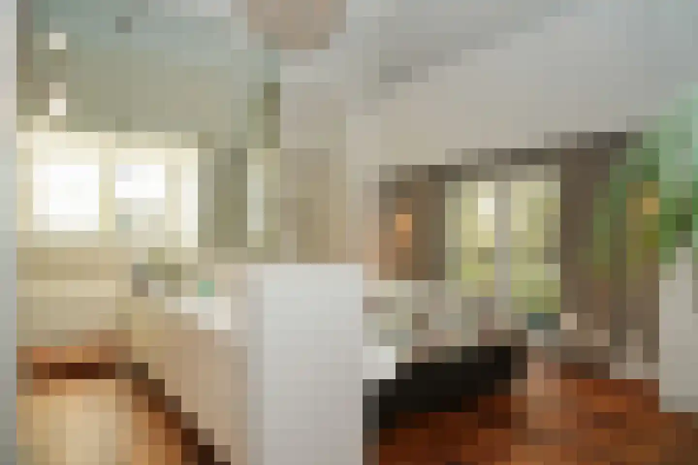 Julianastraat 9 Vlijmen thumbnail 43