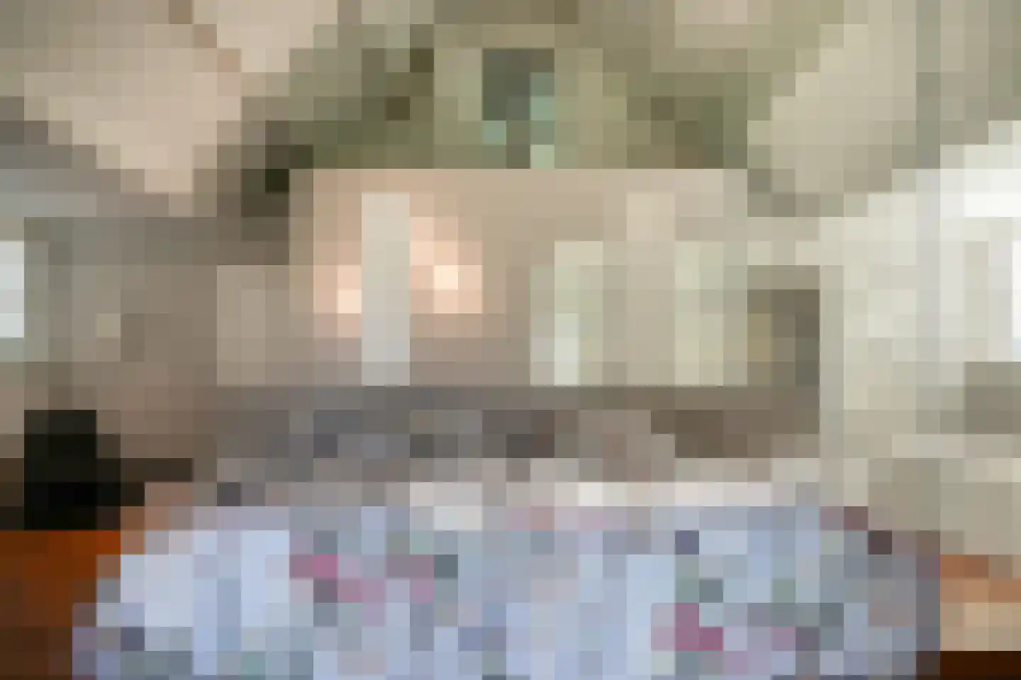 Julianastraat 9 Vlijmen thumbnail 44