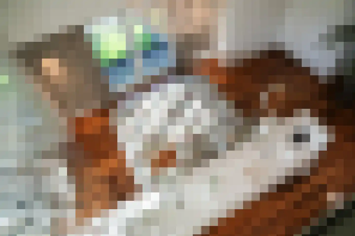 Julianastraat 9 Vlijmen thumbnail 46