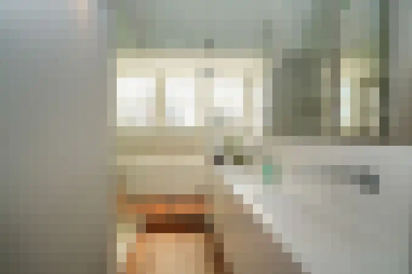 Julianastraat 9 Vlijmen thumbnail 47