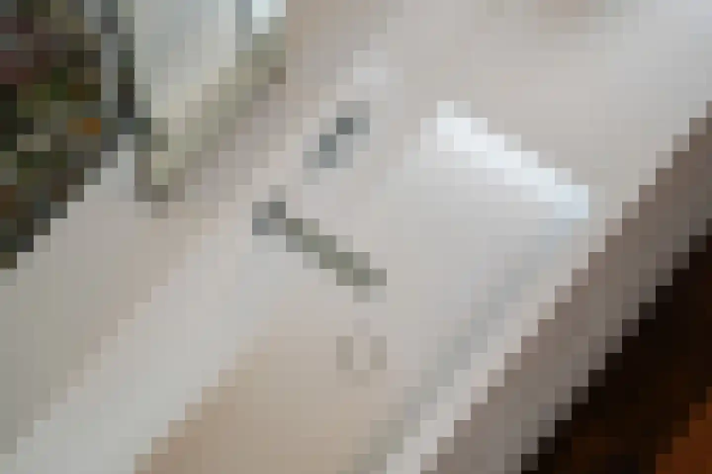 Julianastraat 9 Vlijmen thumbnail 48