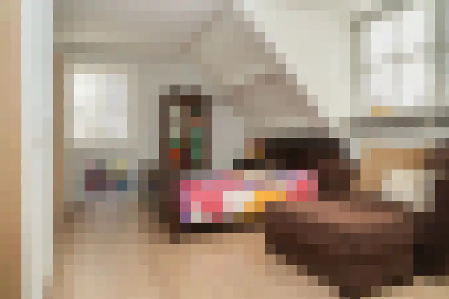 Julianastraat 9 Vlijmen thumbnail 57
