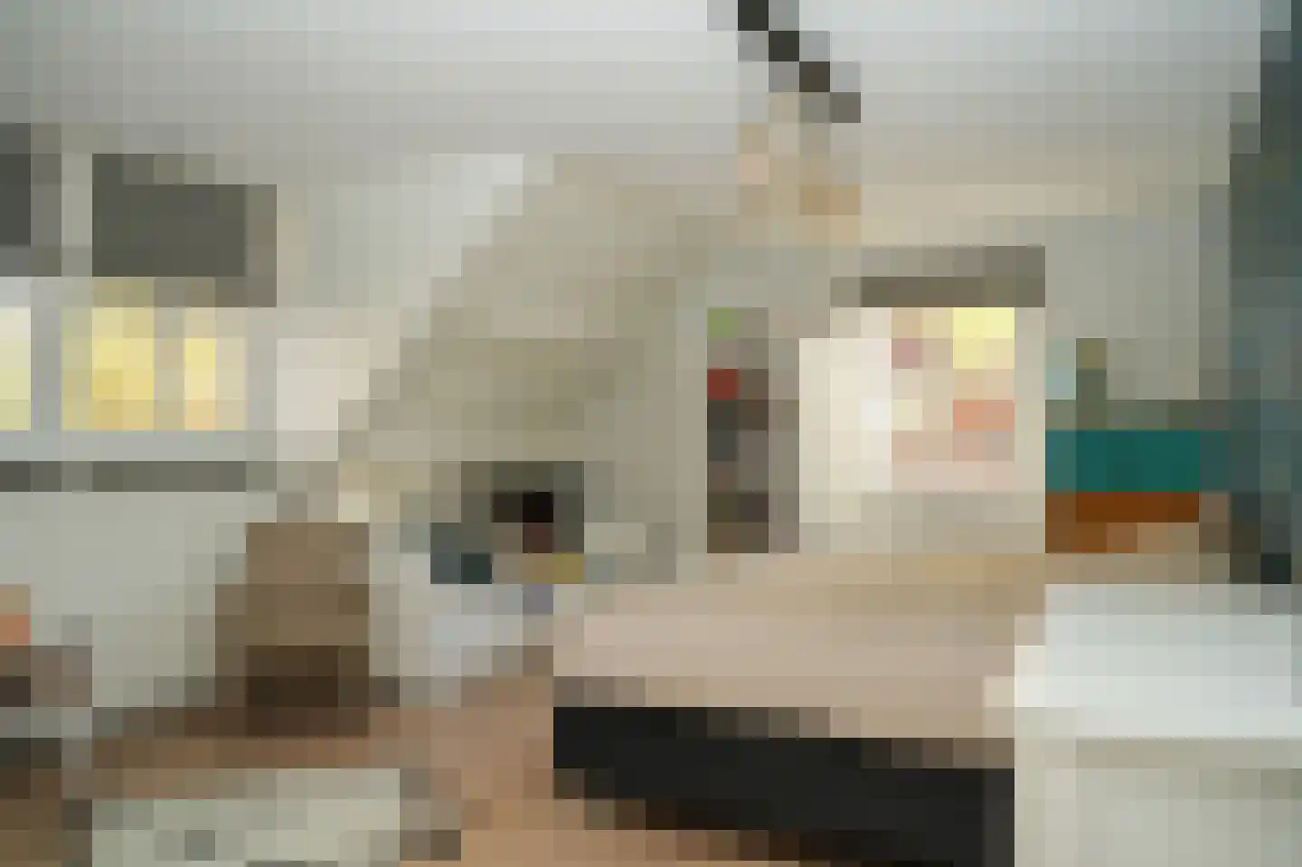 Julianastraat 9 Vlijmen thumbnail 59