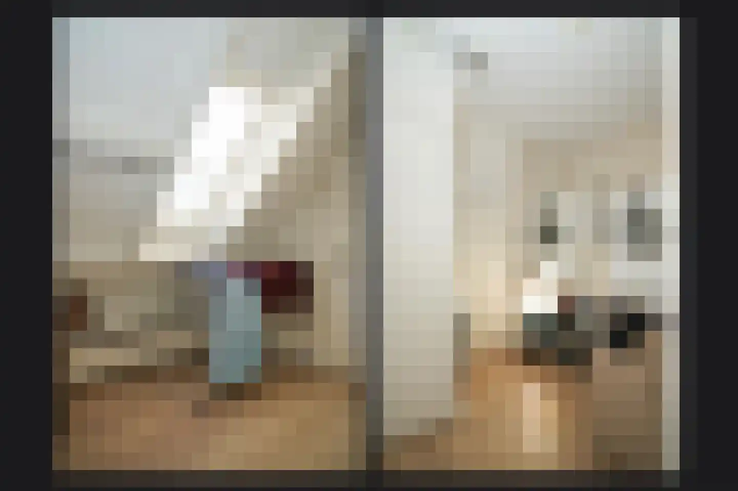 Julianastraat 9 Vlijmen thumbnail 60