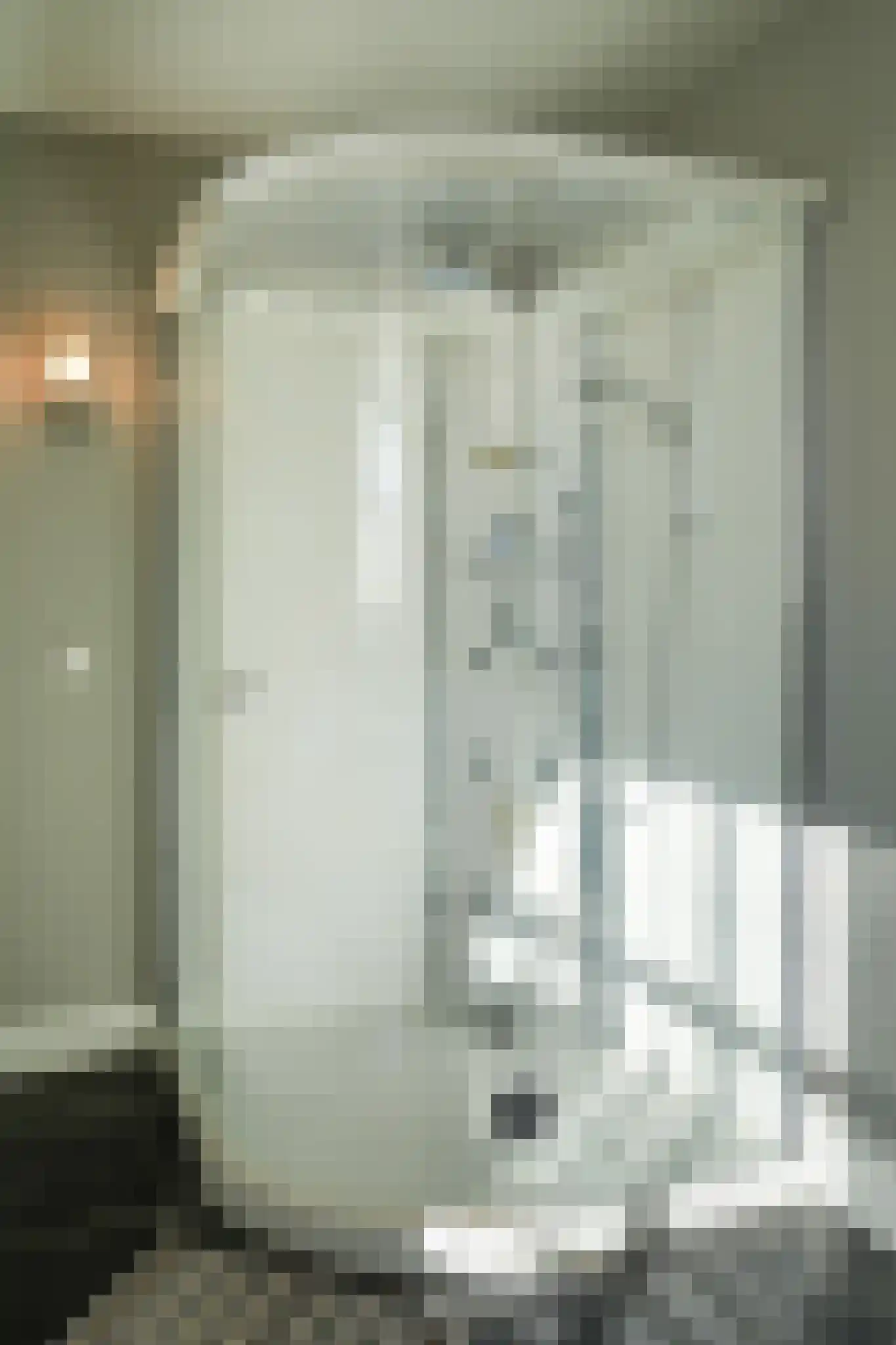 Julianastraat 9 Vlijmen thumbnail 63