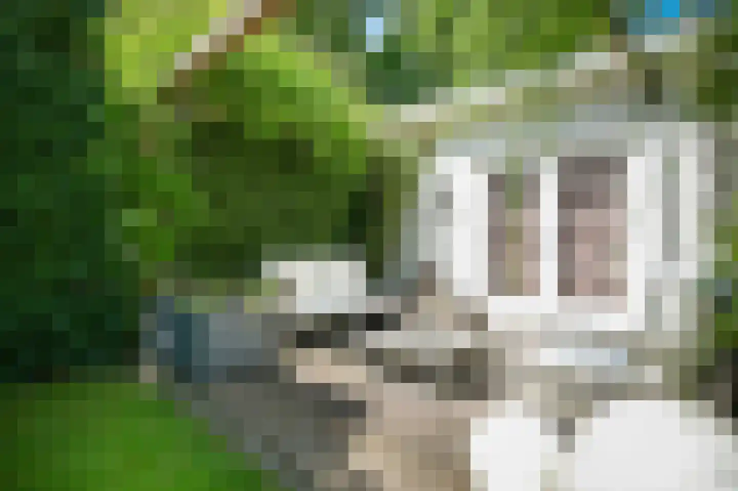 Julianastraat 9 Vlijmen thumbnail 68