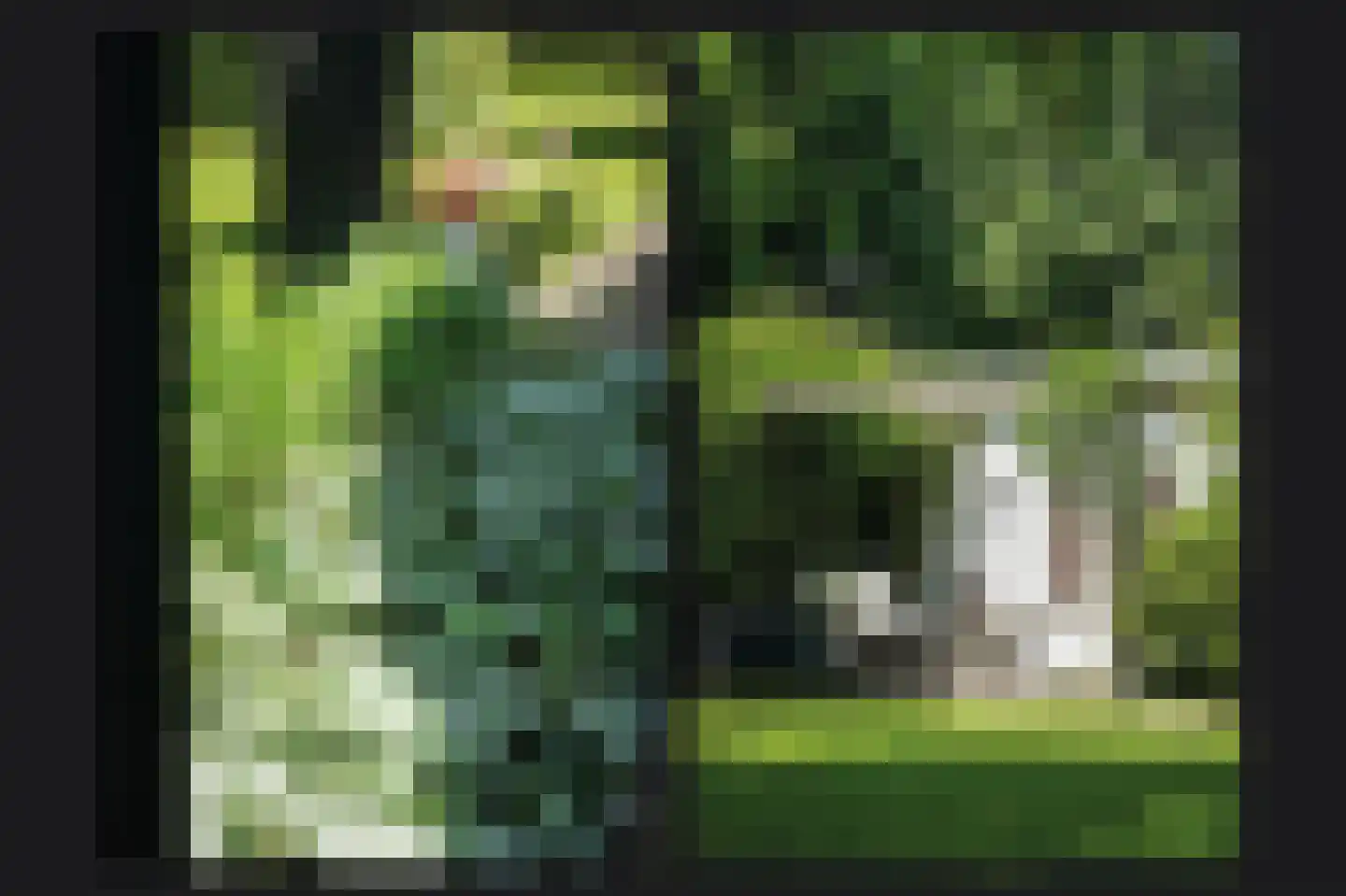 Julianastraat 9 Vlijmen thumbnail 69