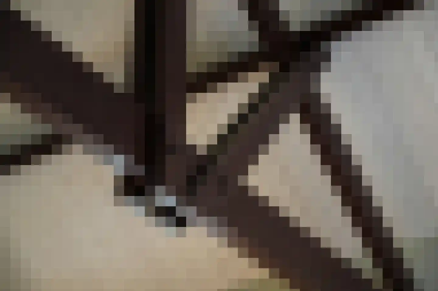 Julianastraat 9 Vlijmen thumbnail 71