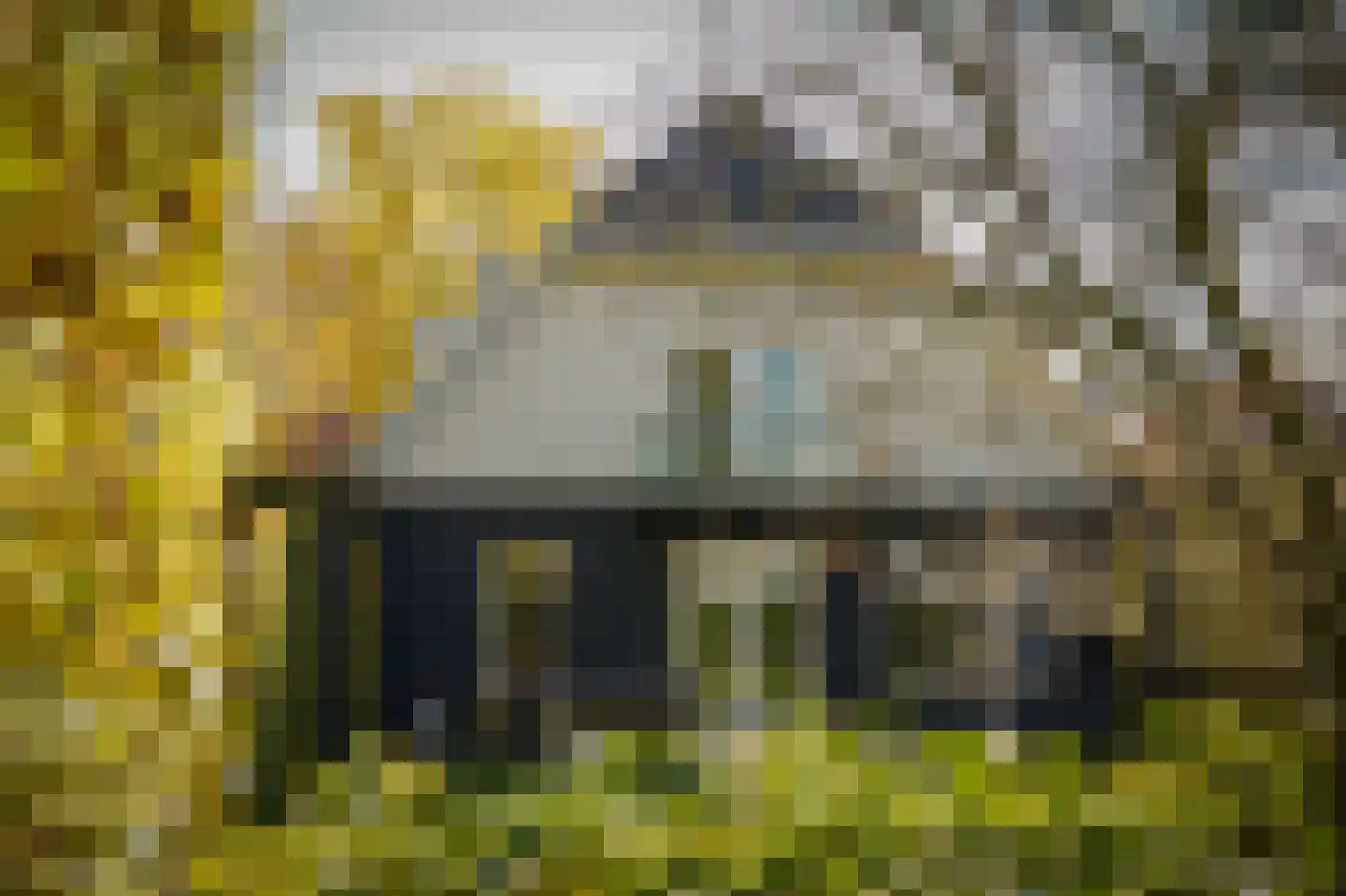 Julianastraat 9 Vlijmen thumbnail 81