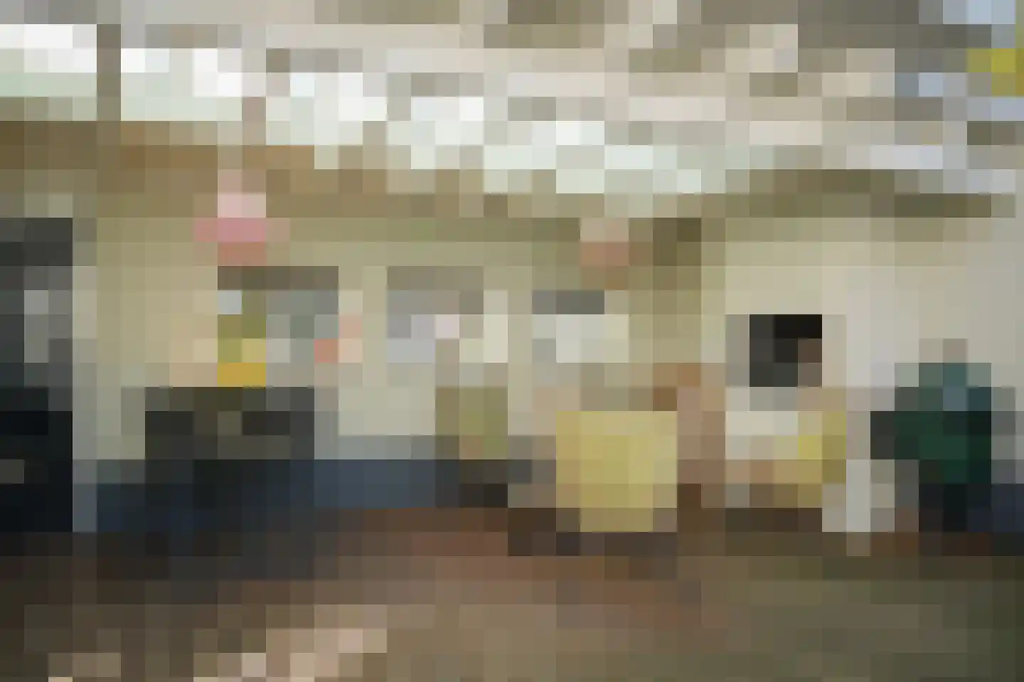 Julianastraat 9 Vlijmen thumbnail 86