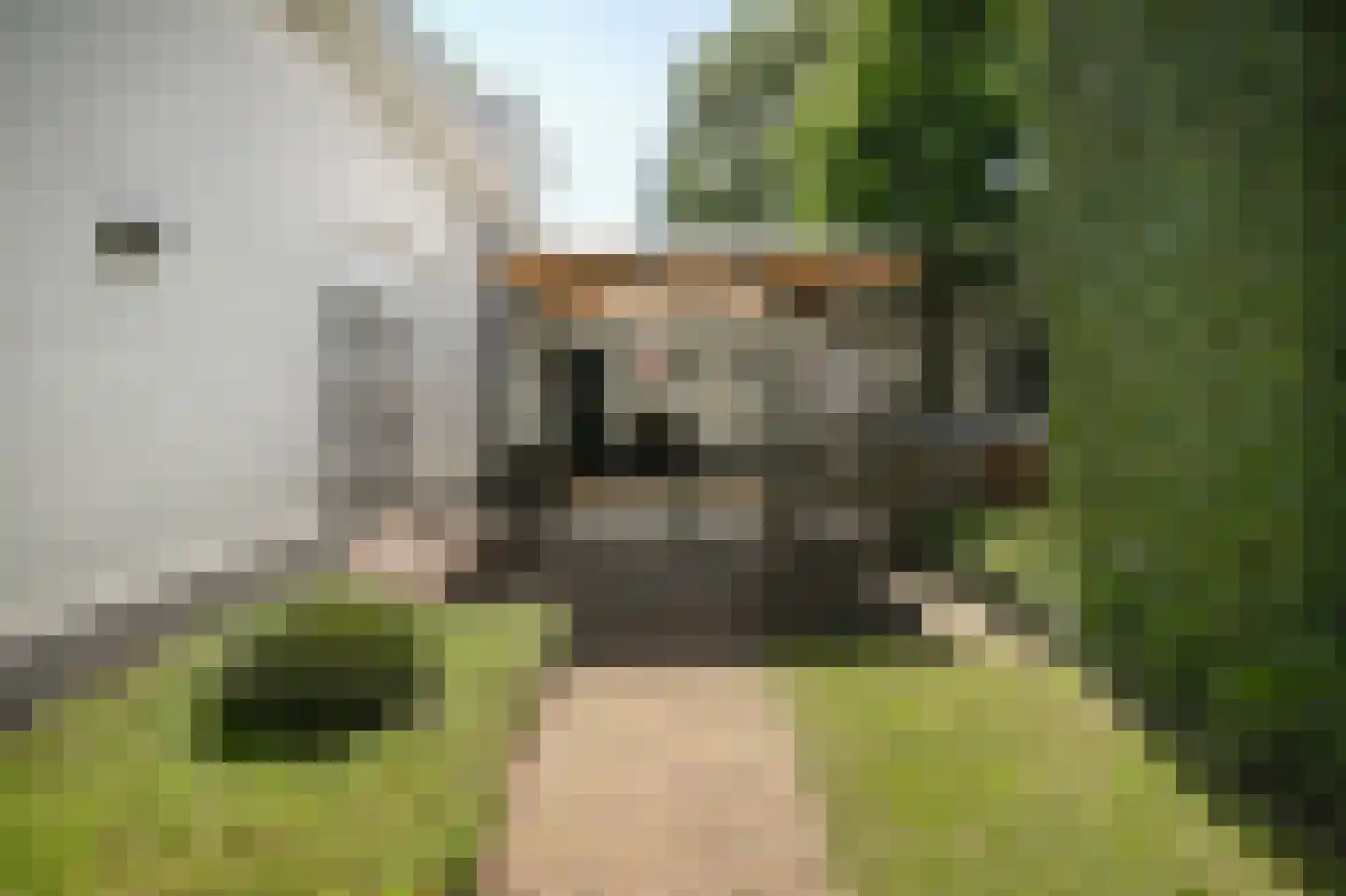 Julianastraat 9 Vlijmen thumbnail 94