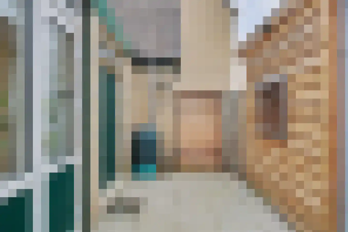 Julianastraat 90 Strijen thumbnail 11