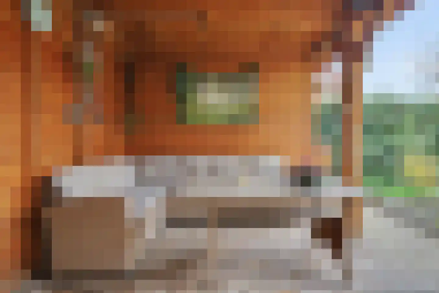Julianastraat 90 Strijen thumbnail 12