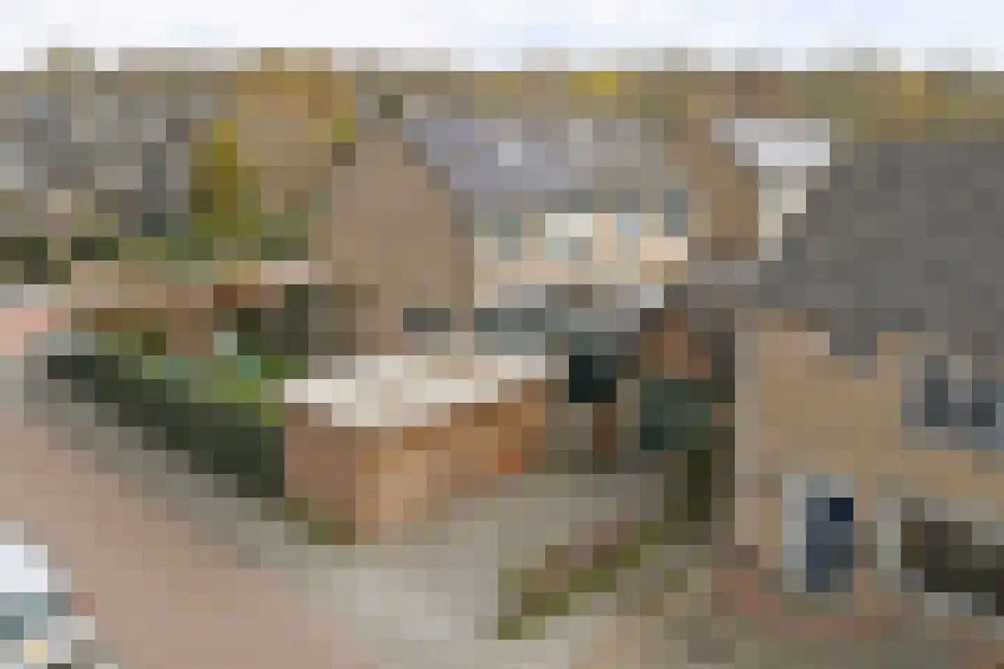 Julianastraat 90 Strijen thumbnail 16