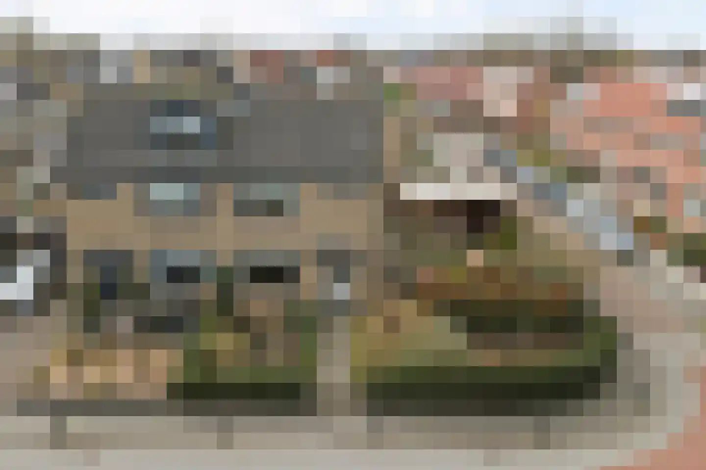 Julianastraat 90 Strijen thumbnail 18