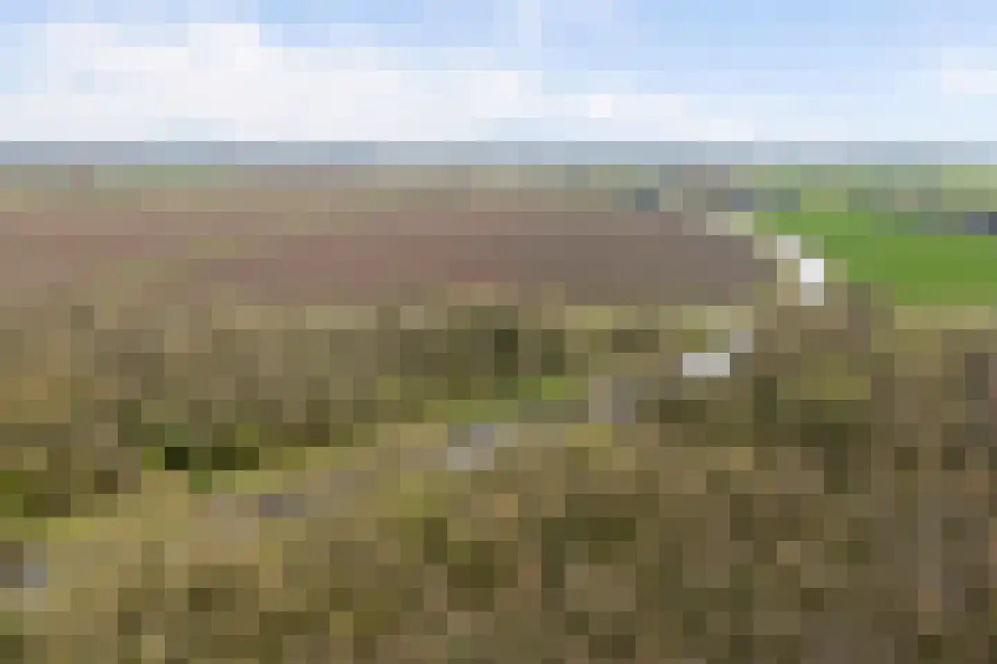 Julianastraat 90 Strijen thumbnail 21