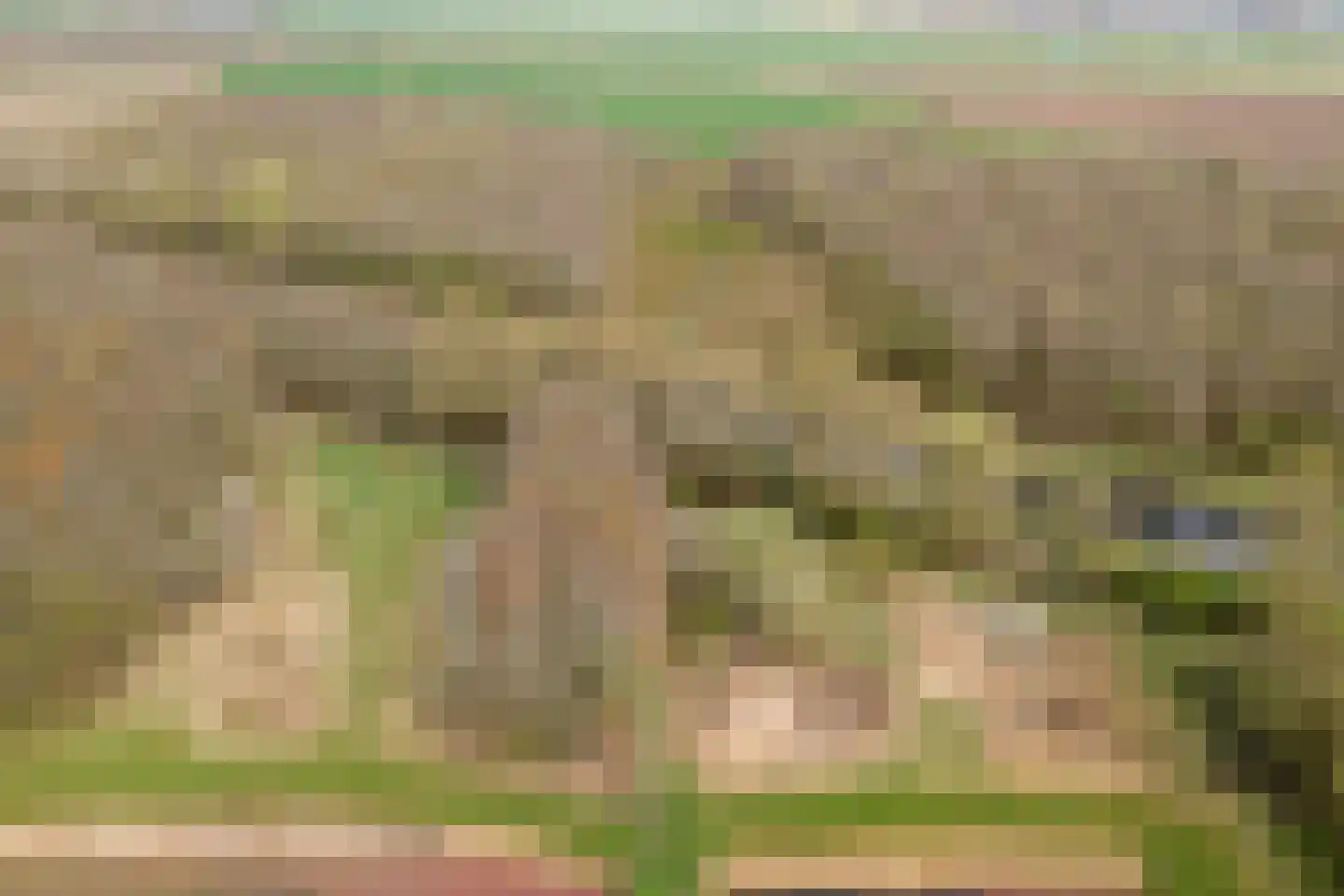 Julianastraat 90 Strijen thumbnail 22
