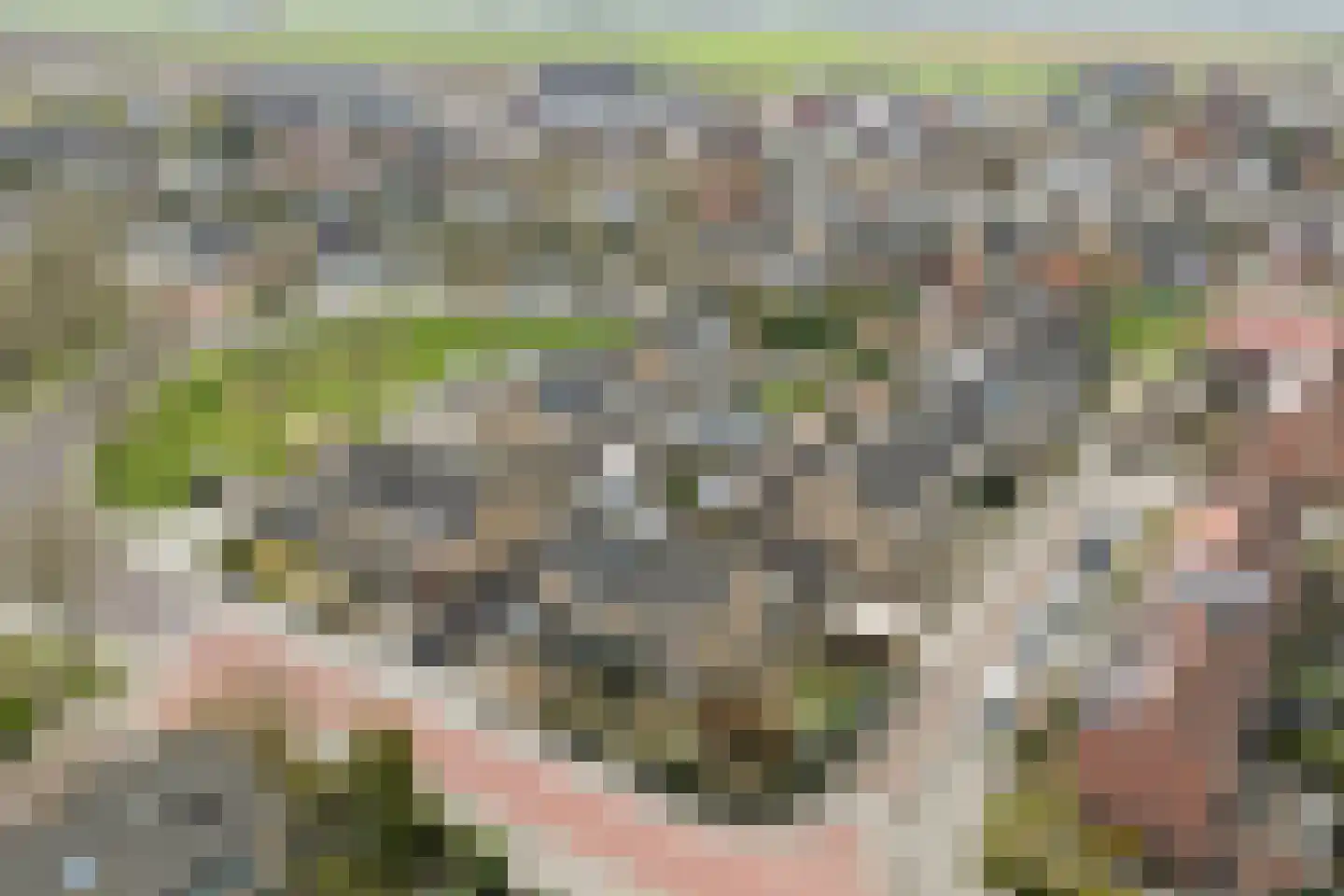 Julianastraat 90 Strijen thumbnail 24