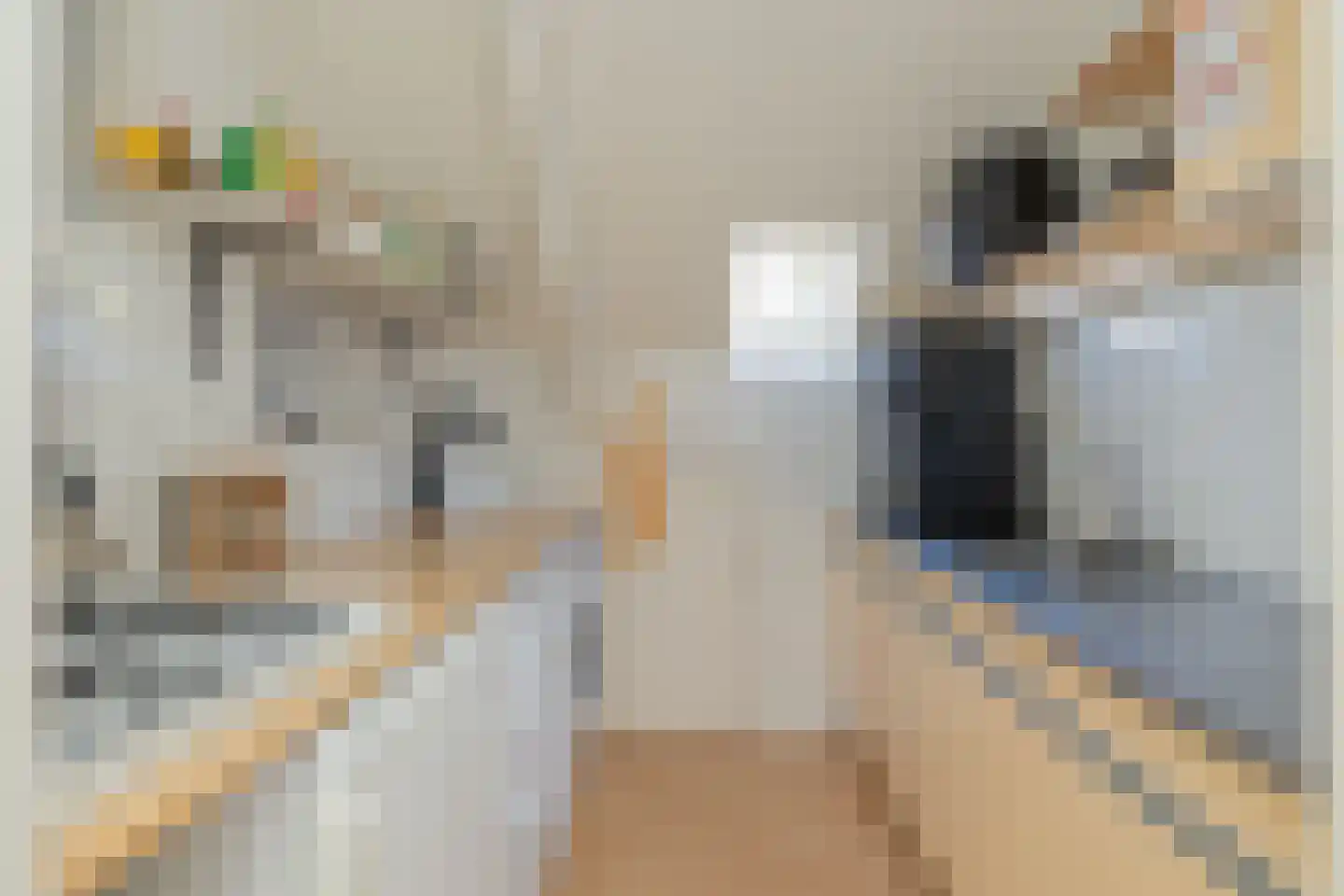 Julianastraat 91 A Lisse thumbnail 21