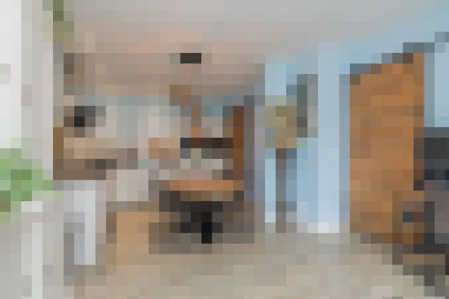 Julianastraat 91 Lisse thumbnail 13