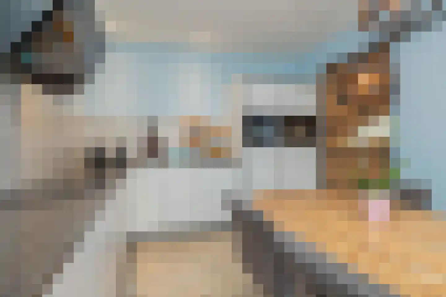 Julianastraat 91 Lisse thumbnail 14