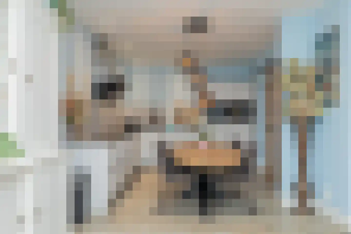 Julianastraat 91 Lisse thumbnail 18