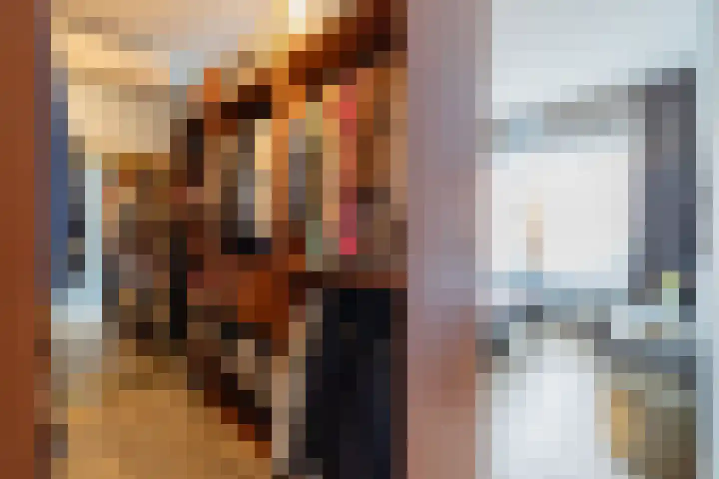 Julianastraat 91 Lisse thumbnail 22