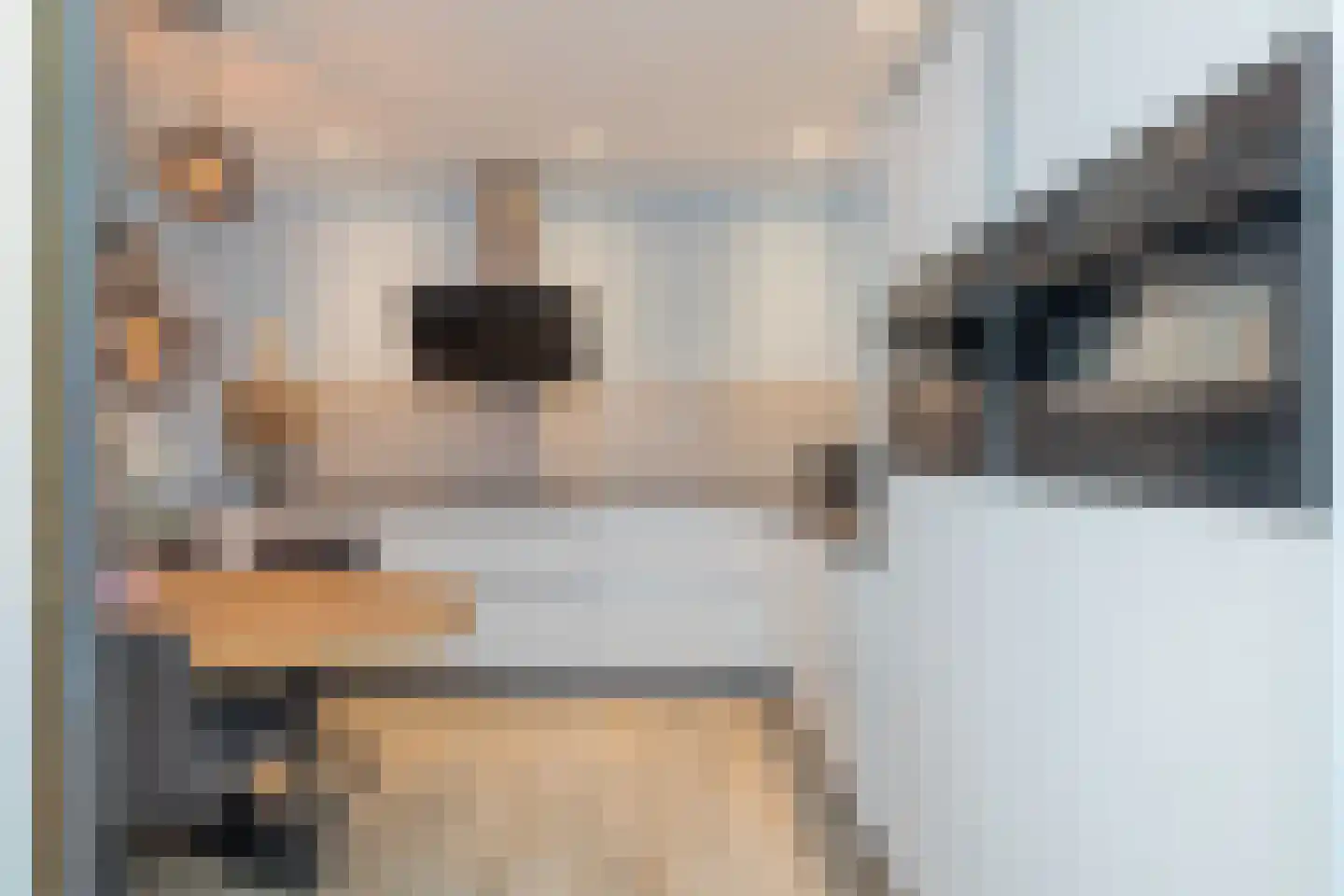Julianastraat 91 Lisse thumbnail 9