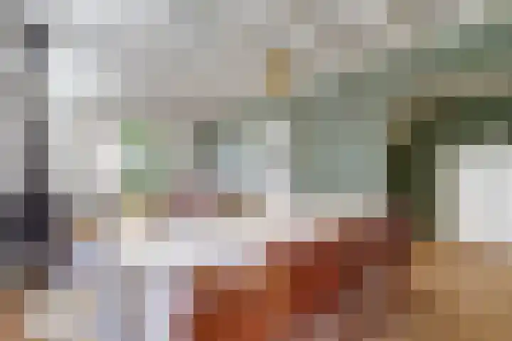 Julianastraat 92 Dongen thumbnail 11