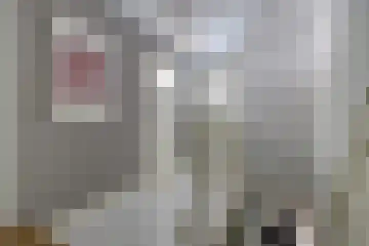 Julianastraat 92 Dongen thumbnail 21