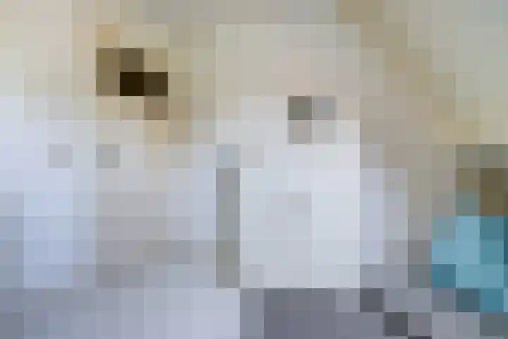 Julianastraat 92 Dongen thumbnail 22