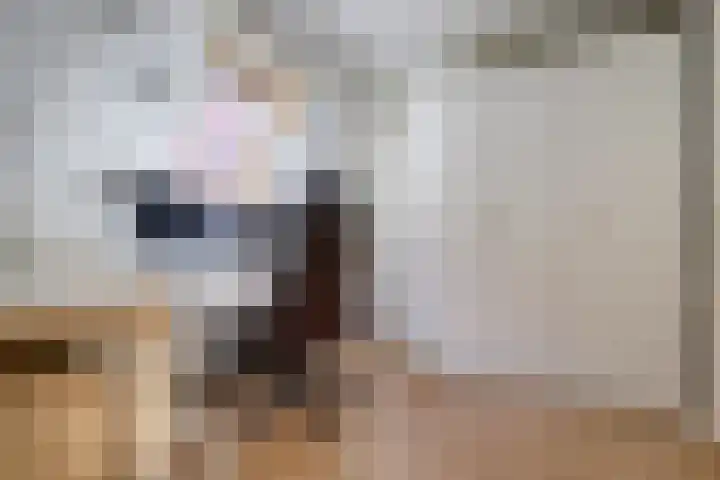 Julianastraat 92 Dongen thumbnail 24